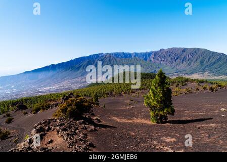 Nationalpark Caldera de Taburiente vom Astronomischen Aussichtspunkt Llano del Jable, Cumbre Vieja Vulkan. Vulkanische Landschaft mit kanarischen Kiefern Stockfoto