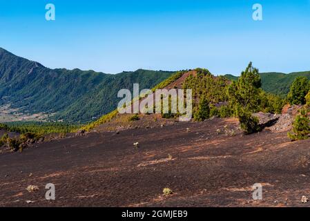 Nationalpark Caldera de Taburiente vom Astronomischen Aussichtspunkt Llano del Jable, Cumbre Vieja Vulkan. Vulkanische Landschaft mit kanarischen Kiefern Stockfoto