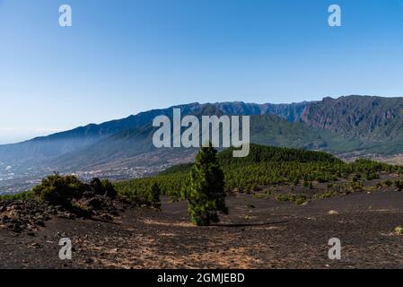 Nationalpark Caldera de Taburiente vom Astronomischen Aussichtspunkt Llano del Jable, Cumbre Vieja Vulkan. Vulkanische Landschaft mit kanarischen Kiefern Stockfoto