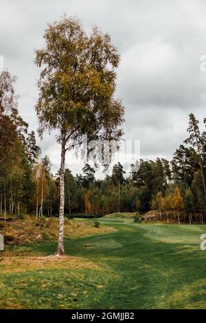 Schwedischer Golfplatz am Ende des Sommers Stockfoto