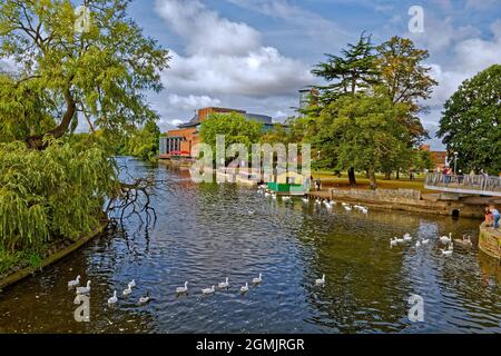 River Avon und das Royal Shakespeare Theatre in Stratford-upon-Avon, Warwickshire, England. Stockfoto