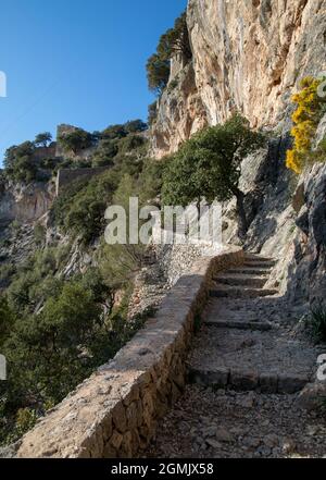 Wanderweg rund um Alaro und Orient mit Olivenbäumen Stockfoto