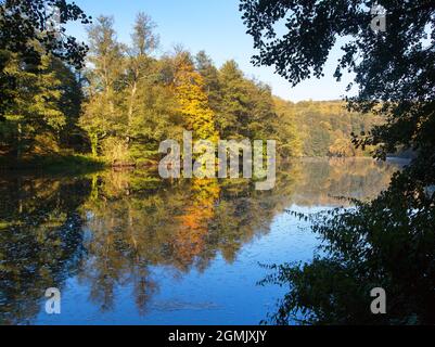 Ohre Fluss und herbstliche Sicht auf Wald Spiegelung auf Wasseroberfläche See Stockfoto