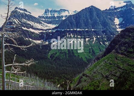 Sommer Schnee auf spektakulären Peaks in der Nähe von Logan Pass im Glacier National Park in Montana Stockfoto