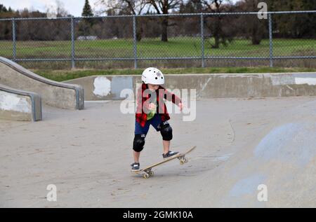 Kleine Skateboarder im Skatepark Stockfoto