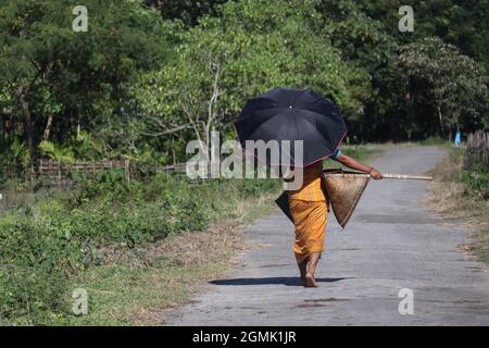 Frauen der Bodo-Gemeinschaft, die am 15. September 2021 in Baksa, Indien, in einem Dorf Fische auf einem Schlammwasserfeld mit traditioneller Angelausrüstung Jakoi suchen. Stockfoto