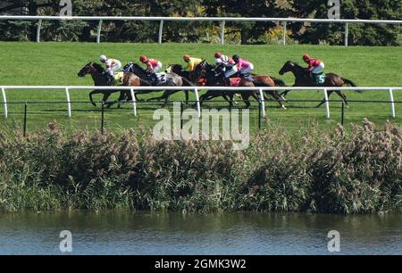 Toronto, Ontario, USA. September 2021. 19. September 2021: Szenen vom Natalma Stakes Day auf der Woodbine Racetrack in Toronto, Ontario, Kanada, am 19. September 2021. Scott SerioEclipse Sportswire CSM/Alamy Live News Stockfoto