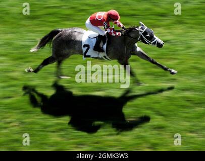 Toronto, Ontario, USA. September 2021. 19. September 2021: Szenen vom Natalma Stakes Day auf der Woodbine Racetrack in Toronto, Ontario, Kanada, am 19. September 2021. Scott SerioEclipse Sportswire CSM/Alamy Live News Stockfoto