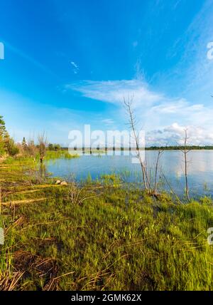 Schönes Seeufer der Duncan Bay im Cheboygan State Park im Norden von Michigan. Stockfoto