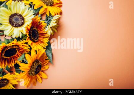 Büschel gelb orange Limette Sonnenblumen auf dem Hintergrund. Gruppe von Herbstblüten im Sommer. Draufsicht. Platz Stockfoto