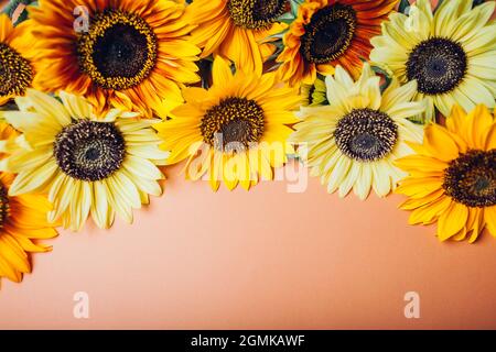Ein Bund gelb-oranger Sonnenblumen mit dunkler Mitte, die in Reihen auf dem Hintergrund stehen. Gruppe von Herbstblüten im Sommer. Platz Stockfoto