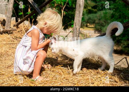 Blonde Baby Mädchen streicheln obdachlose weiße Katze im Freien. Wächst in Kontakt mit Tieren. Freundschaftswettbewerb. Kinder und Haustiere. Urlaub auf dem Land Stockfoto