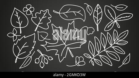 Herbst lineare Blätter gesetzt. Auf schwarzem Hintergrund isolierte Vektorgrafik. Bäume Laub Elemente für saisonale Grußkarten Designs Stock Vektor