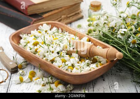 Holzschale mit gerupften Gänseblümchen, Holzlöffel Kamillenknospen. Blumenstrauß, Öl- oder Tinkturflasche und alte Bücher auf dem Hintergrund. Alte Stockfoto