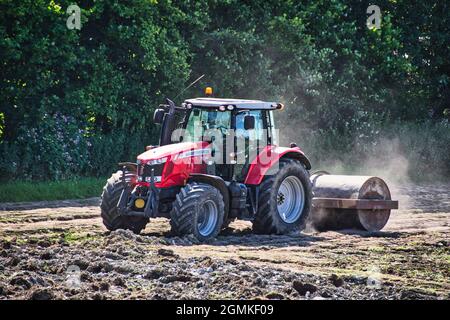 Massey Ferguson Traktor bereitet Feld für den Winter vor. Amerikanischer Hersteller von Landmaschinen. Stockfoto