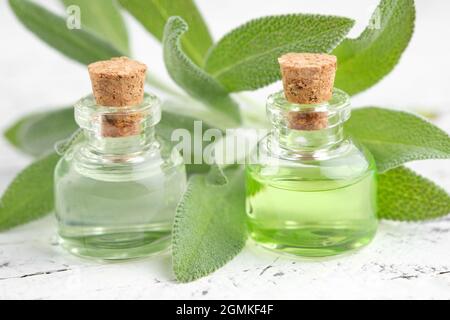 Flaschen mit ätherischem Salbei-Öl, frischen grünen Blättern von Salbei oder Salvia officinalis Heilpflanzen. Aromatherapie. Alternative und pflanzliche Medizin. Stockfoto