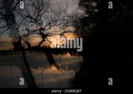 Sonnenuntergang am Lake Itasca, dem Quellgebiet des Mississippi River, im Norden von Minnesota, USA Stockfoto