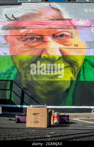 Große Wandgemälde, die an der Seite des Gebäudes für das Southend Arts Festival gemalt wurden, einschließlich eines Glitch-Effekts von Sir David Attenborough von Scott Irving Stockfoto