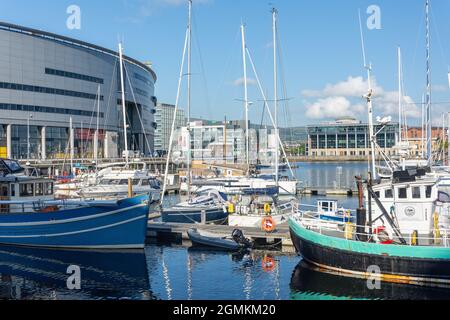 SSE Arena Belfast und Belfast Harbour Marina, Corporation Square, City of Belfast, Nordirland, Vereinigtes Königreich Stockfoto