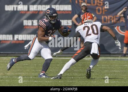 Chicago, Usa. September 2021. Chicago-Bären laufen zurück David Montgomery (32) führt den Ball gegen die Cincinnati Bengals im dritten Quartal auf dem Soldier Field in Chicago am Sonntag, den 19. September 2021. Die Bären gewannen 20:17. Foto von Mark Black/UPI Credit: UPI/Alamy Live News Stockfoto