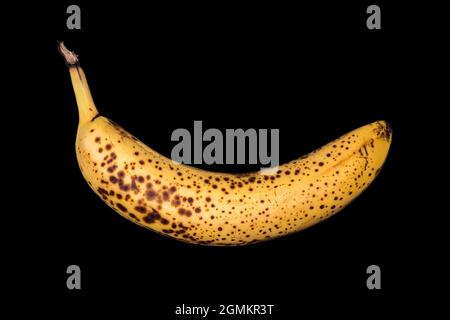 Verfaulte Banane auf schwarzem Hintergrund isoliert. Abgelaufene Früchte. Stockfoto