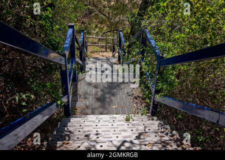 Stahltreppen durch einheimische Vegetation bis zum Strand Stockfoto