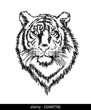 Jahr des Tigers. 2022 Jahre. Monochrome Skizze. Vektorgrafik Stock Vektor