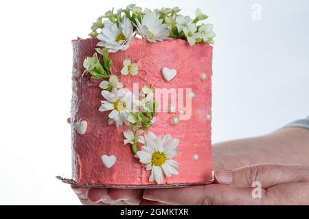 Konditor hält einen Schokoladenkuchen mit rosa Buttercreme bedeckt. Verziert mit weißen Herzen, Perlen und Blumen. Stockfoto