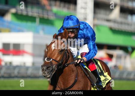 Toronto, Ontario, USA. September 2021. 19. September 2021: Albahr (GB) #4, geritten von Jockey Frankie Dettori, gewinnt am 19. September 2021 die Klasse 1 Summer Stakes auf dem Rasen auf der Woodbine Racetrack in Toronto, Ontario, Kanada. Scott SerioEclipse Sportswire CSM/Alamy Live News Stockfoto