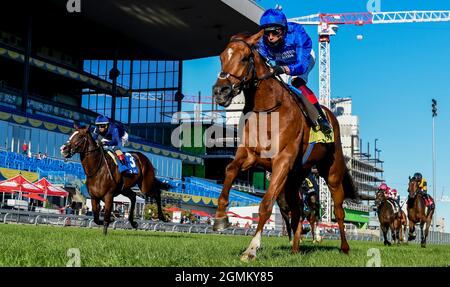 Toronto, Ontario, ON, USA. September 2021. 19. September 2021: Albahr (GB) #4, geritten von Jockey Frankie Dettori, gewinnt am 19. September 2021 die Klasse 1 Summer Stakes auf dem Rasen auf der Woodbine Racetrack in Toronto, Ontario, Kanada. Scott Serio/Eclipse Sportswire/CSM/Alamy Live News Stockfoto