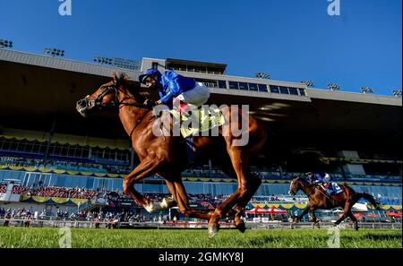 Toronto, Ontario, ON, USA. September 2021. 19. September 2021: Albahr (GB) #4, geritten von Jockey Frankie Dettori, gewinnt am 19. September 2021 die Klasse 1 Summer Stakes auf dem Rasen auf der Woodbine Racetrack in Toronto, Ontario, Kanada. Scott Serio/Eclipse Sportswire/CSM/Alamy Live News Stockfoto