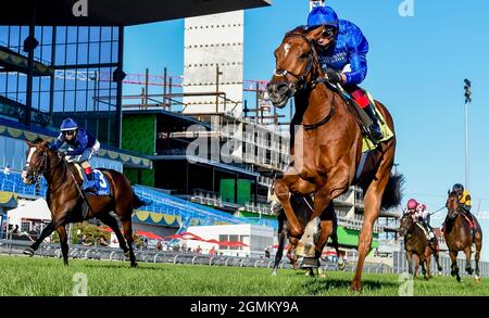 Toronto, Ontario, ON, USA. September 2021. 19. September 2021: Albahr (GB) #4, geritten von Jockey Frankie Dettori, gewinnt am 19. September 2021 die Klasse 1 Summer Stakes auf dem Rasen auf der Woodbine Racetrack in Toronto, Ontario, Kanada. Scott Serio/Eclipse Sportswire/CSM/Alamy Live News Stockfoto