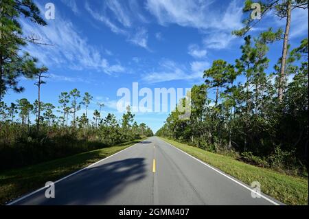 Wunderschöne, hochgelegene Wolkenlandschaft im Spätsommer über der Main Park Road im Everglades National Park, Florida. Stockfoto