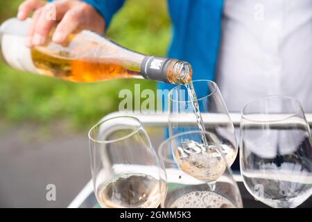 16. September 2021, Bayern, Thüngersheim: Wein der Sorte 'Blauer Silvaner' wird in Gläser gegossen. Diese Rebsorte 'Blauer Silvaner', die bisher nur Experten bekannt und sonst vergessen wurde, ist von der Slow Food Organisation in die 'Arche des Geschmacks' aufgenommen worden. Foto: Nicolas Armer/dpa Stockfoto