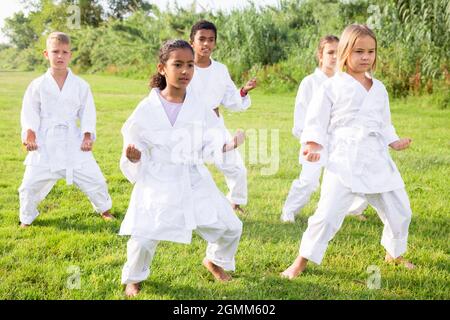 Multirassische Gruppe von Jugendlichen Kindern, die Karate im Sommerpark praktizieren Stockfoto