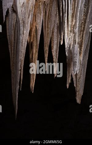 Nahaufnahme der Unterseite des Lüsters im Carlsbad Caverns National Park Stockfoto