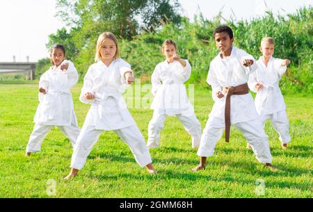 Tweenagers verschiedener Nationalitäten lernen Karate bewegt sich auf grünem Rasen Stockfoto