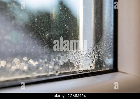 Wasser kondensiert auf einem weißen Kunststofffenster. Schimmel- und Energieeffizienz. Stockfoto