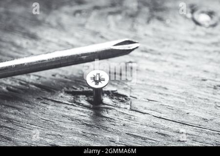 Die Gewindebohrschraube wird in die Holzdiele eingeschraubt. Selektiver Fokus. Geringe Schärfentiefe. Schwarzweiß-Bild. Stockfoto