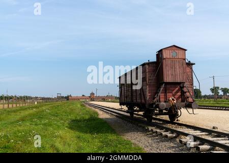 Auschwitz, Polen - 15. September 2021: Konzentrationslager Auschwitz in Polen mit Eisenbahngleisen und einem Holzwagen für den Transport von Gefangenen i Stockfoto