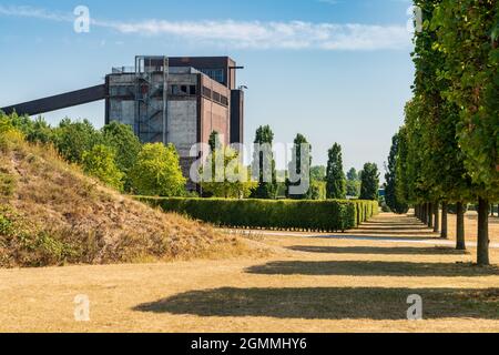 Eine Baumreihe auf einer ausgetrockneten Wiese, mit der Ruine eines alten Kohlebunkers im Hintergrund, zu sehen im Nordsternpark, Gelsenkirchen, Nordrhi Stockfoto