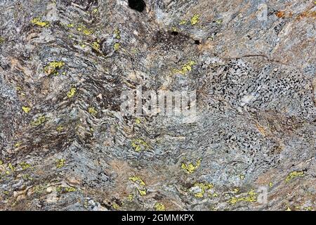 Nahaufnahme von grauem Granit, gebogenen Schichten und einigen Flechten, die darauf wachsen Stockfoto