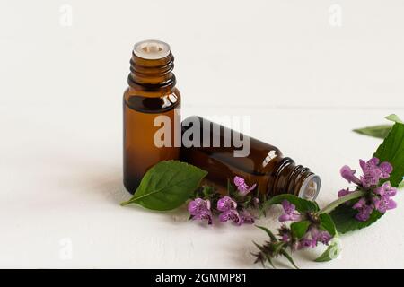 Ätherisches Minzöl mit Extrat von Blättern auf weißem Hintergrund mit Pflanzenblüten. Das Konzept der natürlichen medizinischen aromatischen Pflanzen Stockfoto