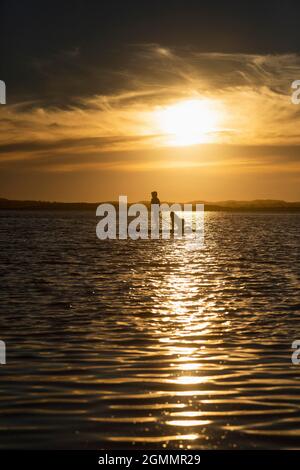 Mutter und Sohn paddeln auf dem ruhigen Meer bei Sonnenuntergang, Victoria, Australien Stockfoto