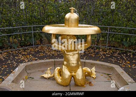 Peterhof, Russland - 14. September 2021, goldene Statue 'kloshi' und Brunnen in Peterhof Stockfoto