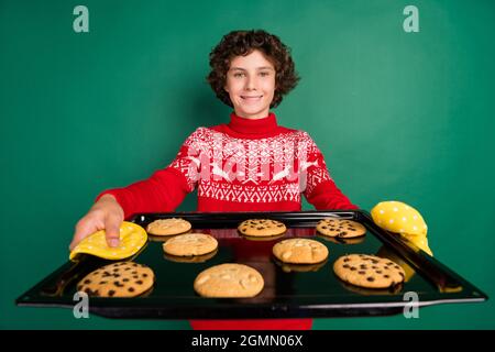 Foto von fröhlichen Jungen demonstrieren Tablett Cookies tragen Hirsch Ornament Pullover isoliert grüne Farbe Hintergrund Stockfoto