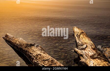 Am Bodensee, in der Nähe von Friedrichshafen Stockfoto