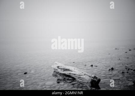Am Bodensee, in der Nähe von Friedrichshafen Stockfoto
