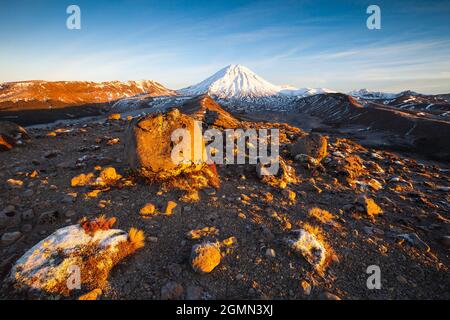 Mount Ngauruhoe im frühen Morgenlicht, Tongariro Northern Circuit, Tongariro National Park Stockfoto