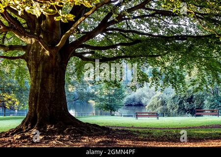 Northampton, Großbritannien Wetter, 20. September 2021. Ein kühler Morgen mit Blick auf den Abington Park, um den Tag zu beginnen. England, Großbritannien Kredit: Keith J Smith./Alamy Live News Stockfoto